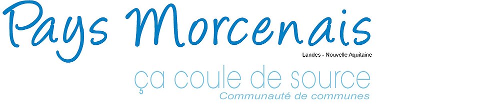 Logo officiel CC du Pays Morcenais